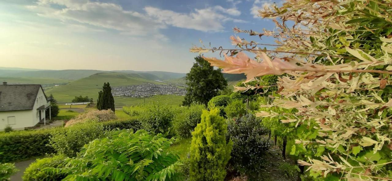 Casa La Vino Apartman Leiwen Kültér fotó