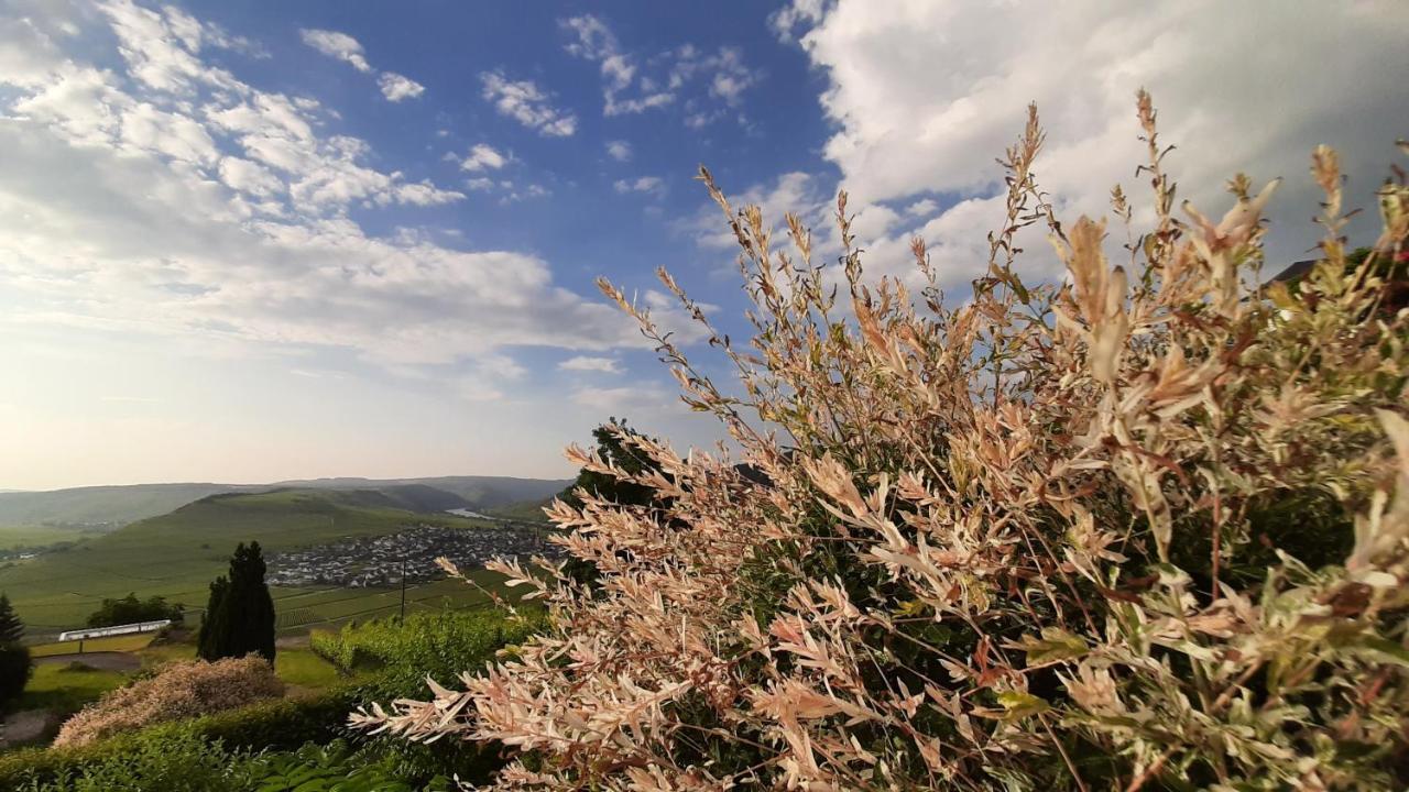Casa La Vino Apartman Leiwen Kültér fotó